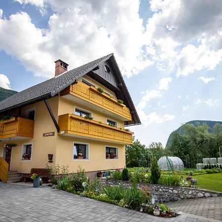 Apartmaji Matej Cvetek Bohinj Exteriör bild