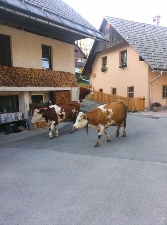 Apartmaji Matej Cvetek Bohinj Exteriör bild